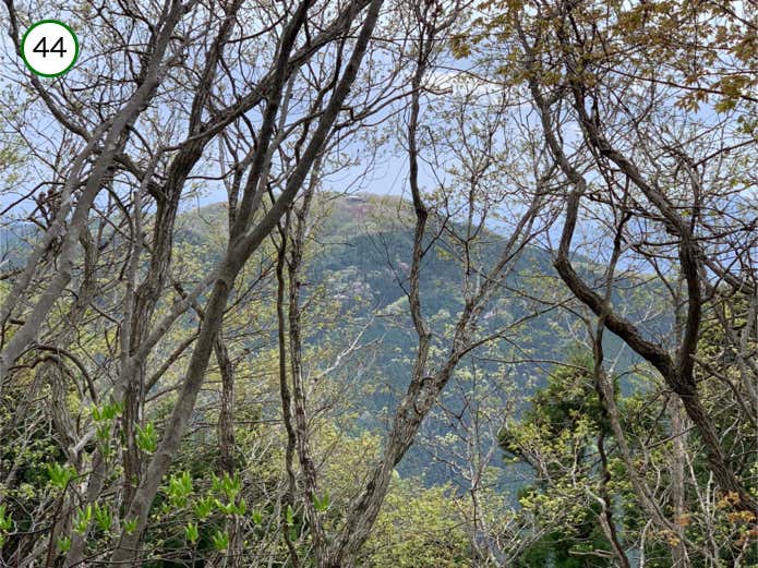 陣馬山の眺望
