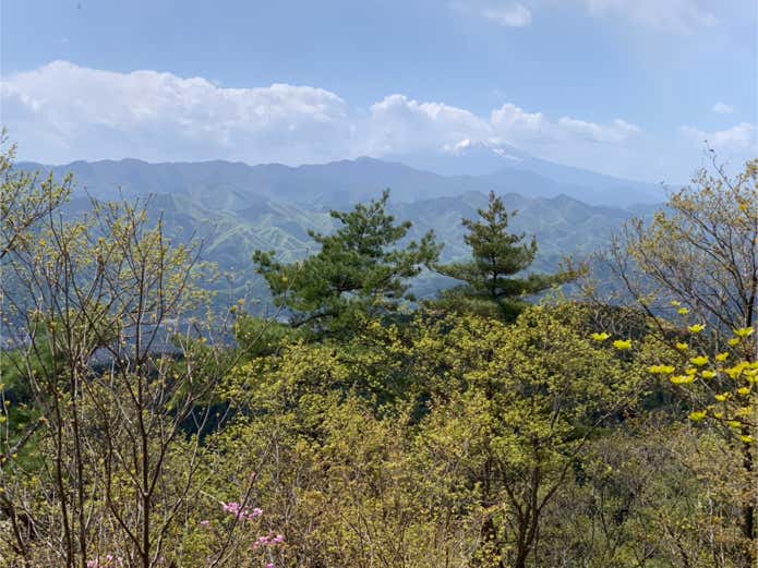 富士山の眺望