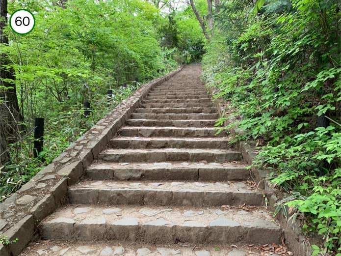 山頂直下の階段