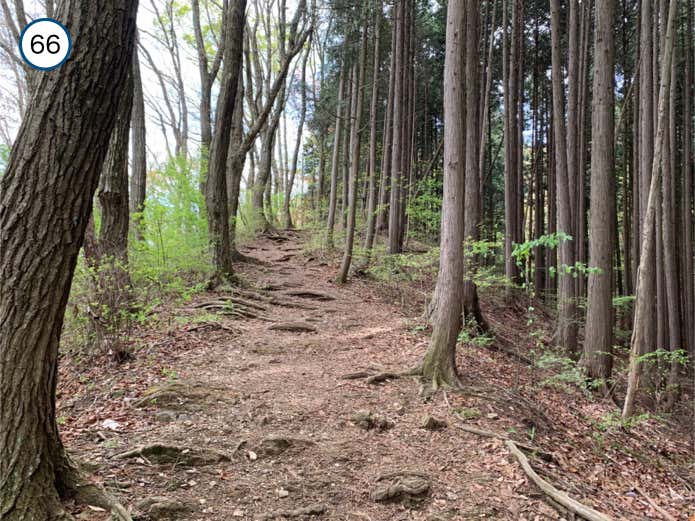平坦な区間