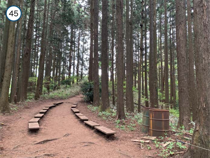 山頂が近づく