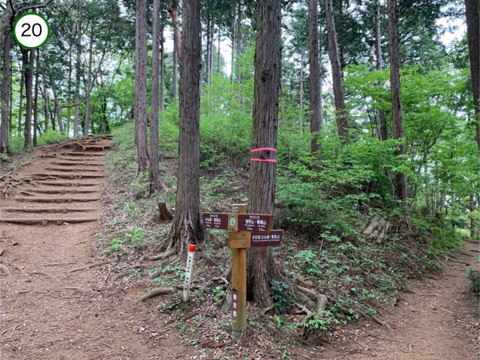 無名のピークの巻道分岐
