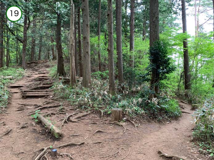 無名のピークの巻道分岐