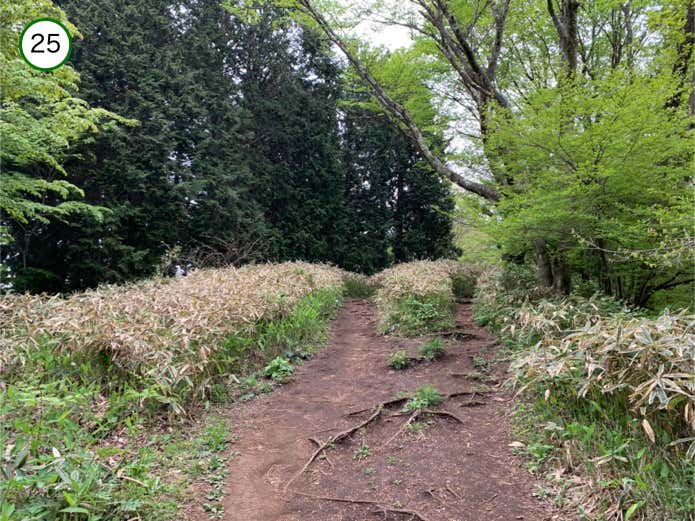 どちらも一緒