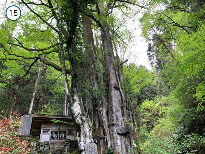 軍茶利神社・奥之院