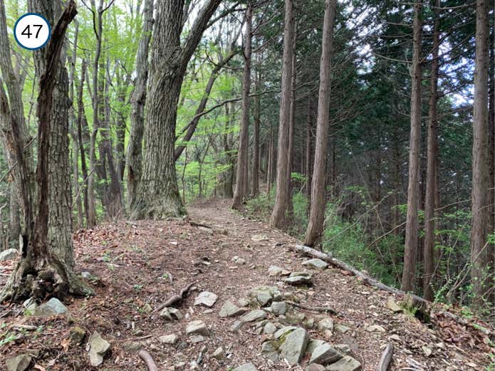 山の神からの登り返し