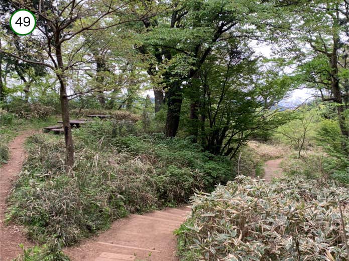 登山道脇の休憩スペース
