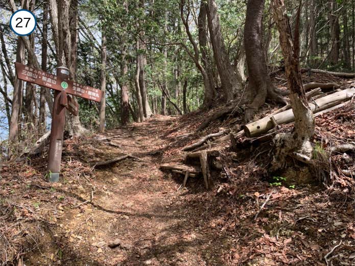 生藤山への登り返し