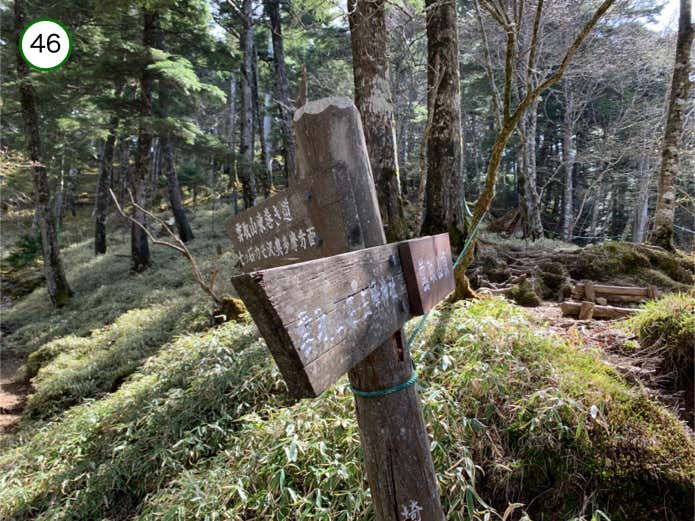 巻道との分岐