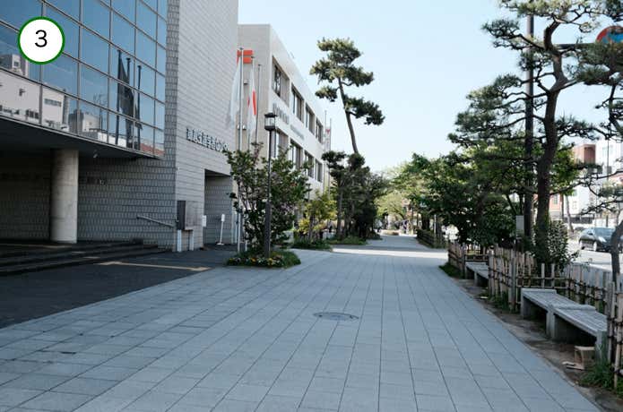 若宮大路を進む