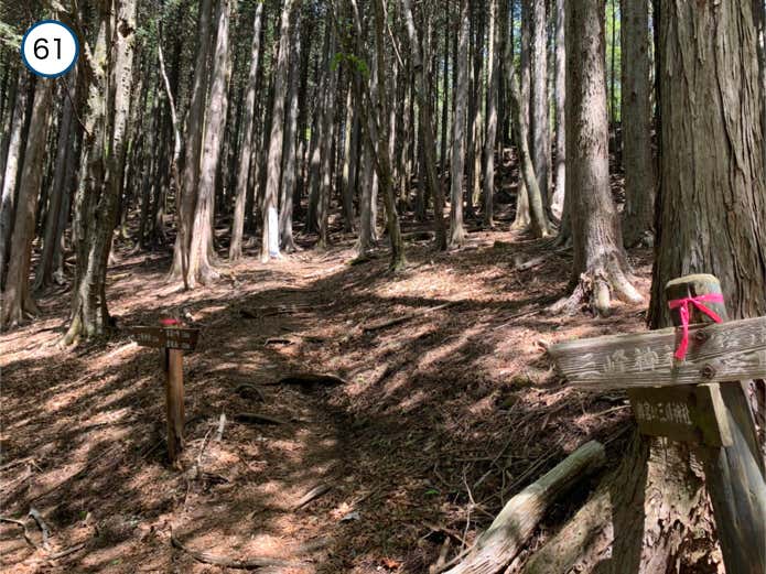 妙法ヶ岳との分岐