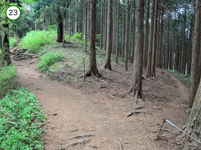 並行する2つの登山道