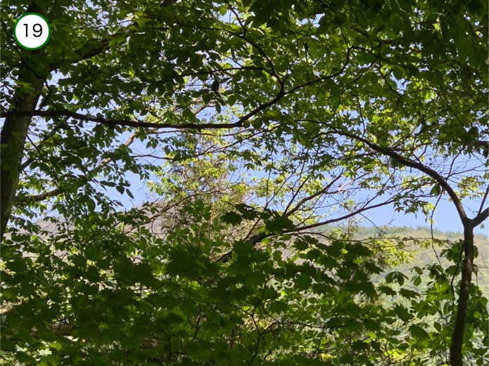 石尾根の眺望