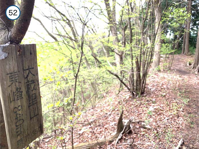 大蔵里山・東峰