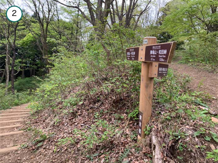 栃谷尾根との分岐
