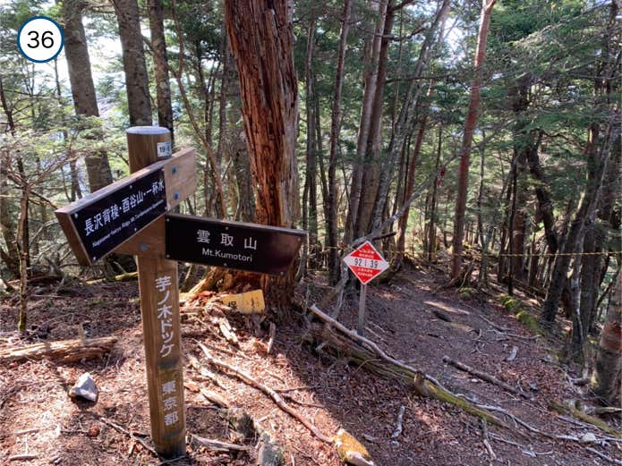 芋木ノドッケ山頂