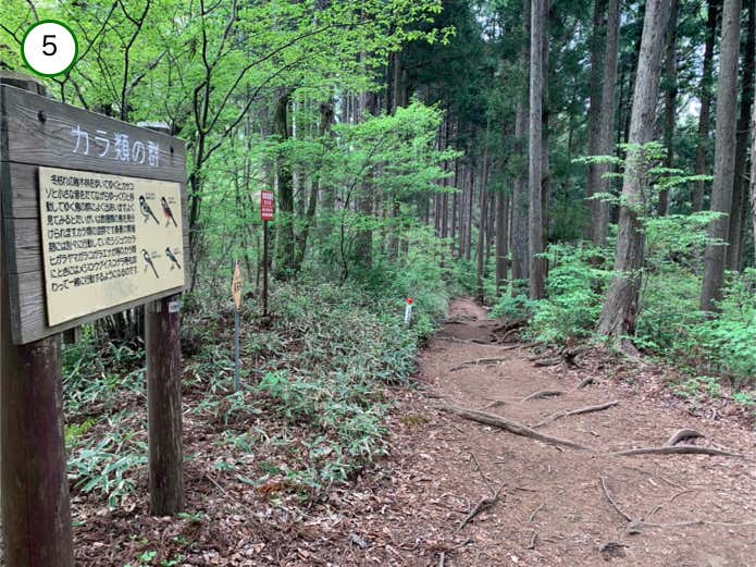 南郷山への道