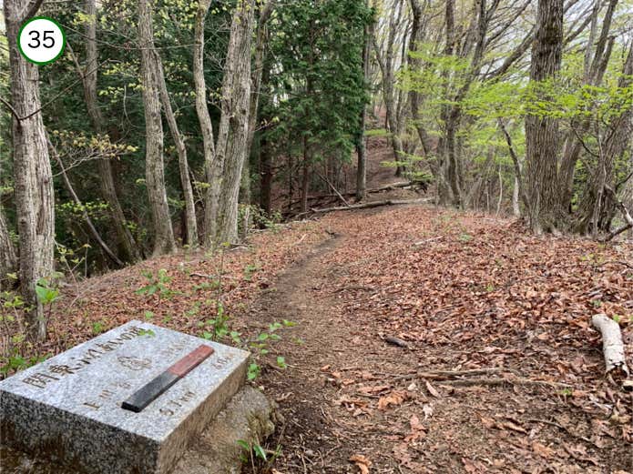 平坦な登山道