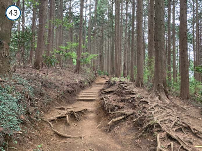 浅間台からの登り