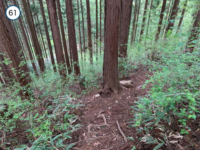 林道への下り