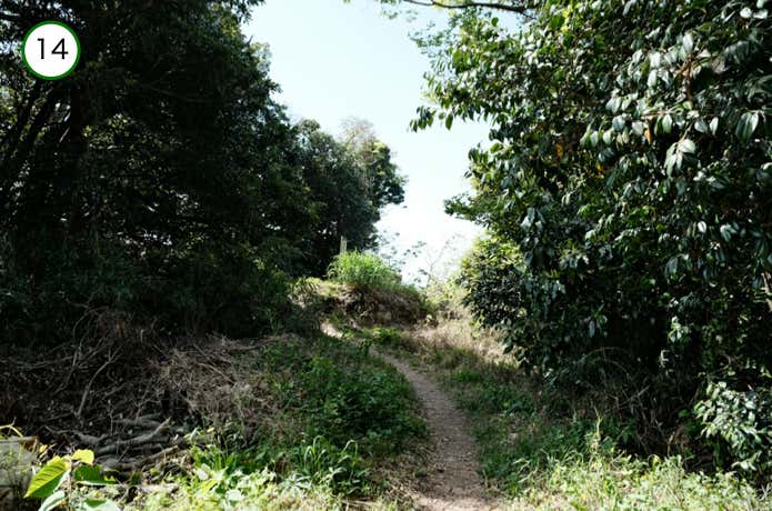 山頂直下