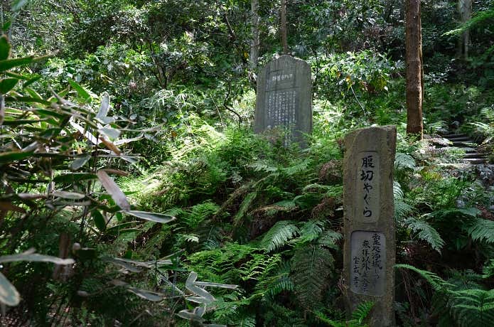 北条高時らが自害した腹切やぐらへの道