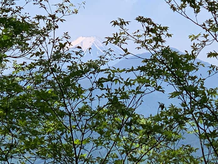 富士見ターンからの富士山