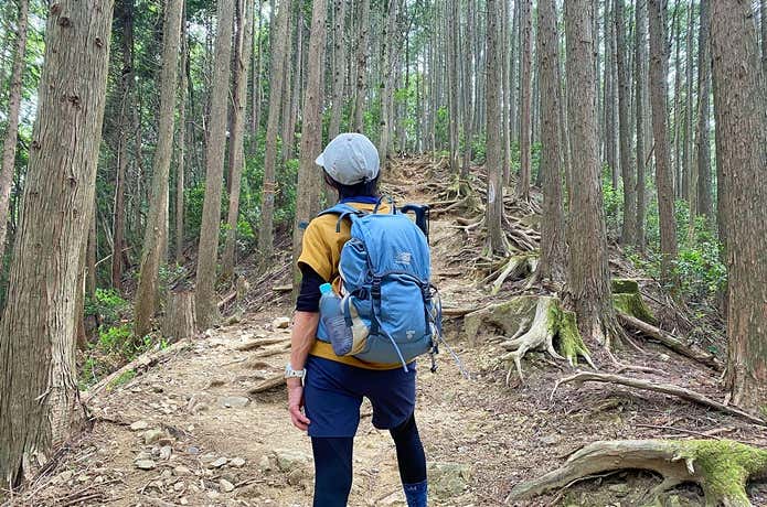 登山リュック 女性用 日帰り～荷物が少なめの一泊の量 - 登山用品