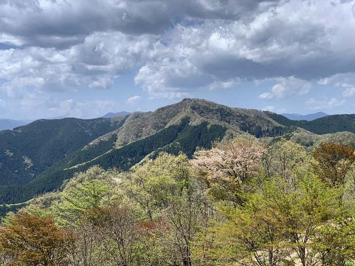 陣馬山から見た生藤山
