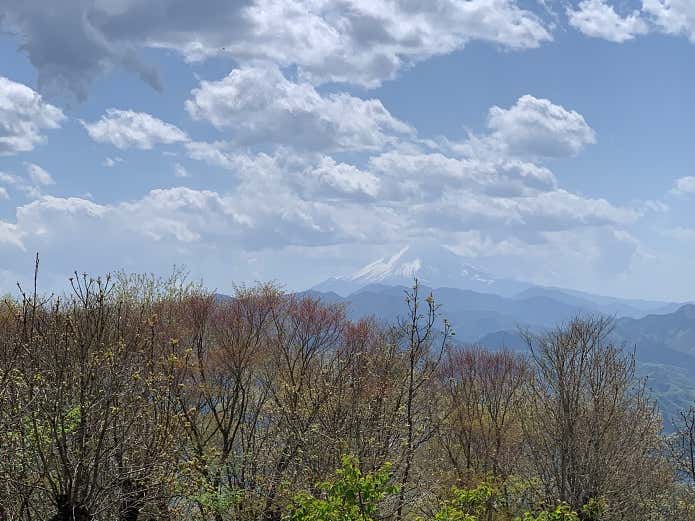 富士山の眺望