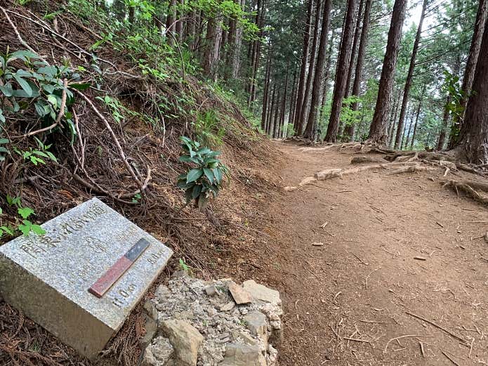 関東ふれあいの道にも選定されている陣馬山から高尾山のコース