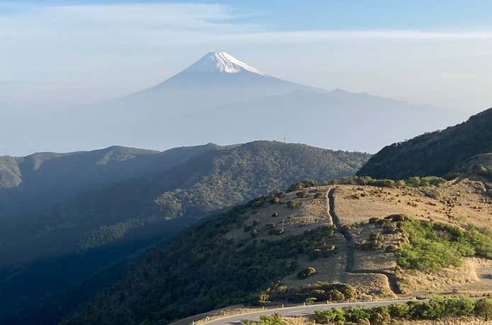 伊豆の山