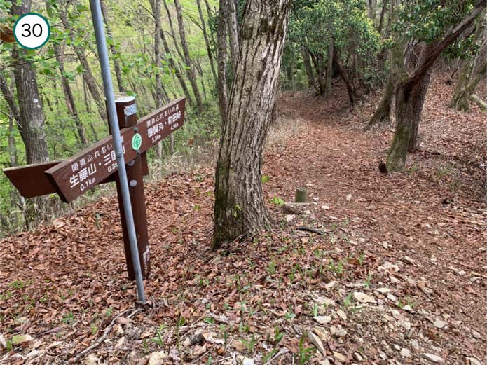 生藤山・東峰からの下り