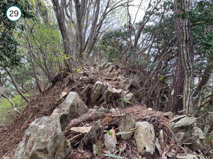 生藤山・東峰への登り返し