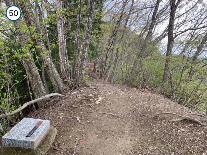 なだらかな登山道