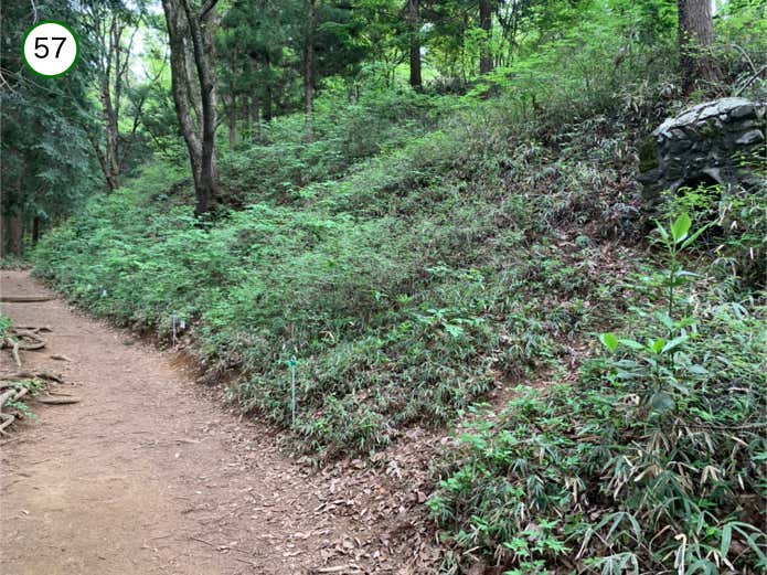 ゆるやかな登りが続く巻道