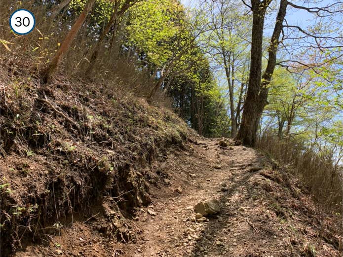 分岐からの登り返し