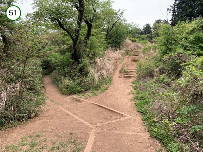 一丁平展望台の分岐