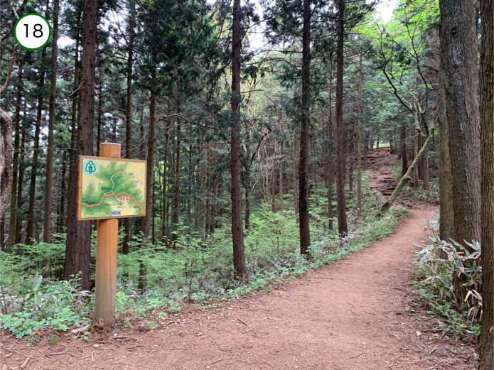 堂所山直登コースとの合流