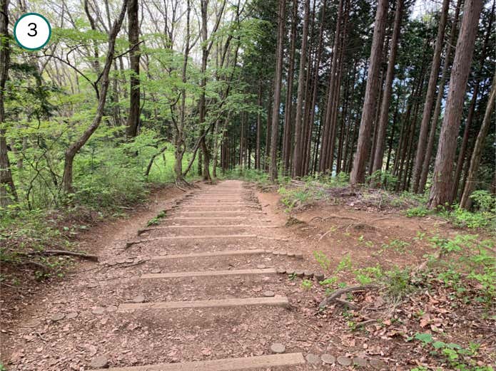 木製階段を下る