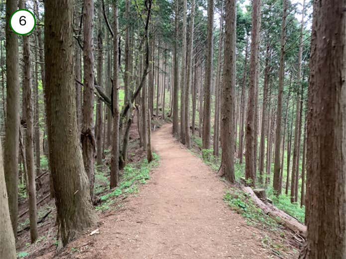 富士小屋山への道