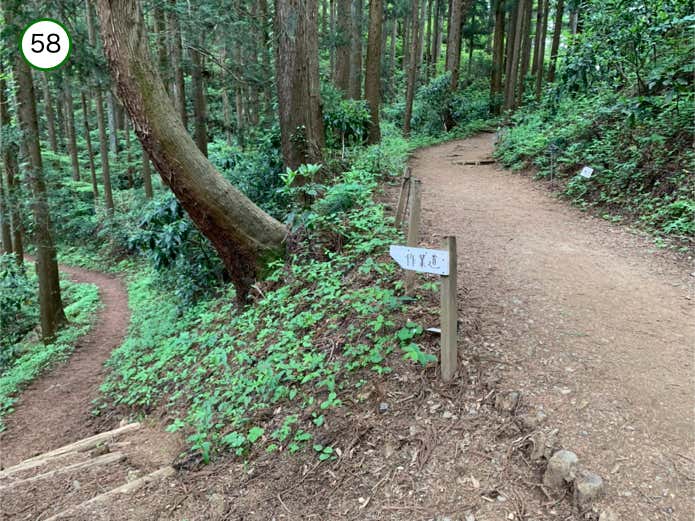 作業道との分岐