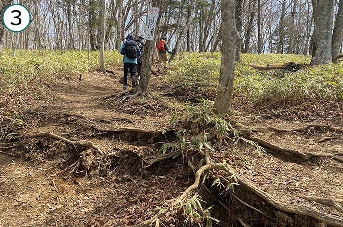 ③序盤の登山道
