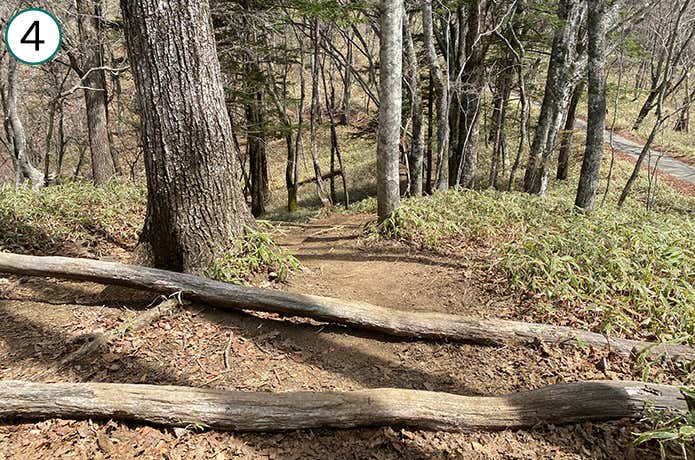 ④アップダウンのある登山道