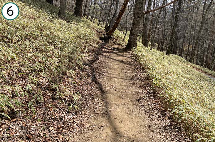 ⑥平坦な登山道