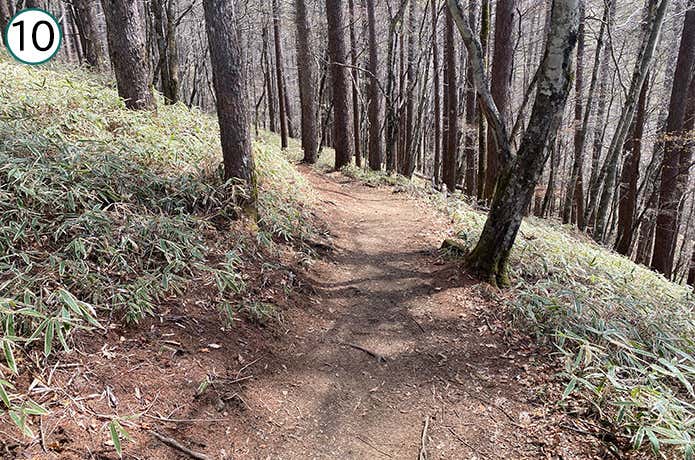 ⑩平坦な登山道