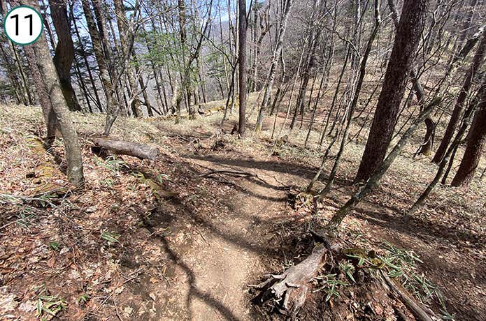 ⑪見通しのいい登山道