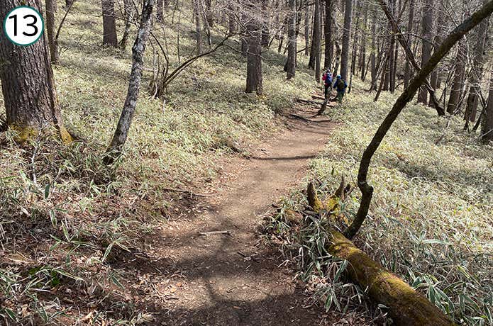 ⑬平坦な登山道