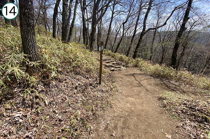⑭舗装路と合流する登山道