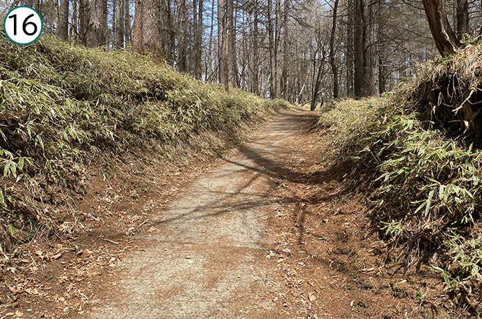 ⑯尾根へ向かう登山道